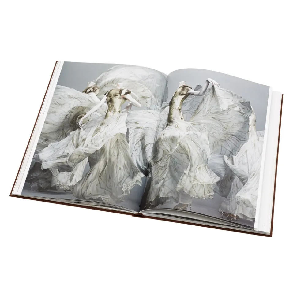 Alexander McQueen: Savage Beauty