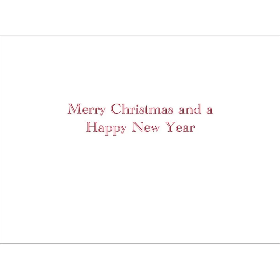 Gordon: Santa at Mailbox Holiday Cards