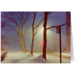 Staller: Sutton Place, New York City Holiday Cards