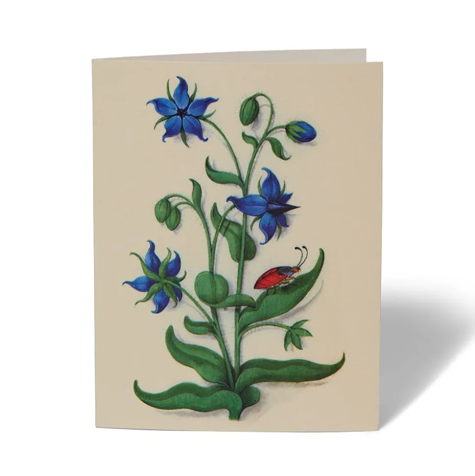The Met Cloisters Garden Notecards