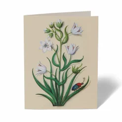 The Met Cloisters Garden Notecards