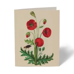 The Met Cloisters Garden Notecards