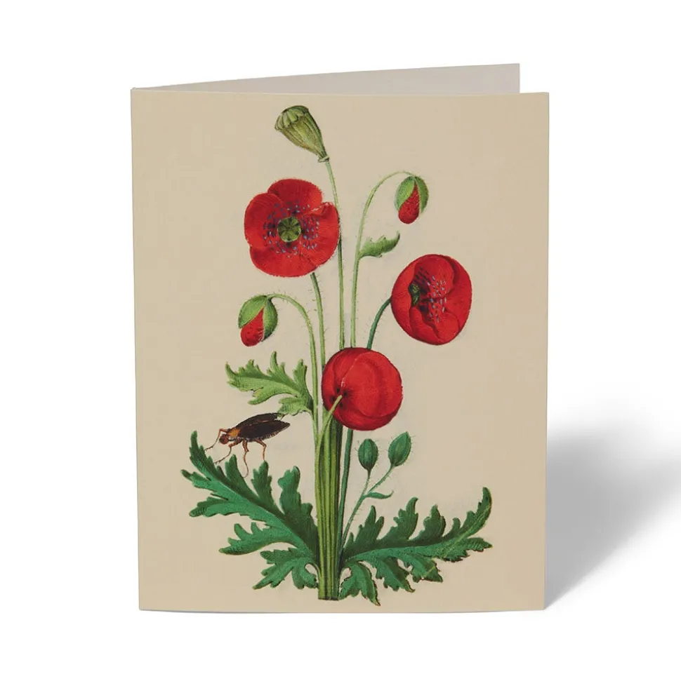 The Met Cloisters Garden Notecards