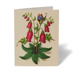 The Met Cloisters Garden Notecards
