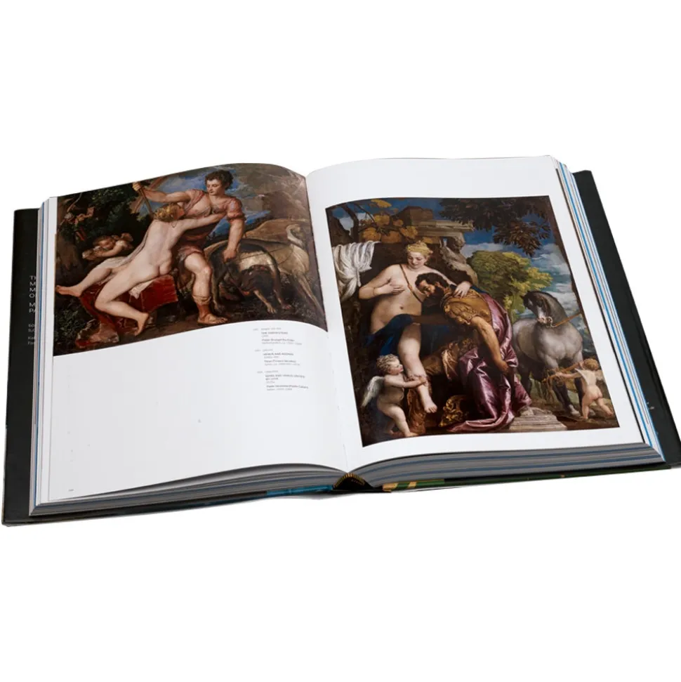 The Metropolitan Museum of Art: Masterpiece Paintings